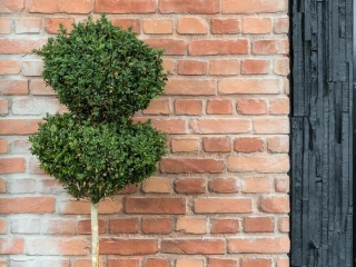 Commercial Hospitality Terracotta Loft Brick Mumbai Express