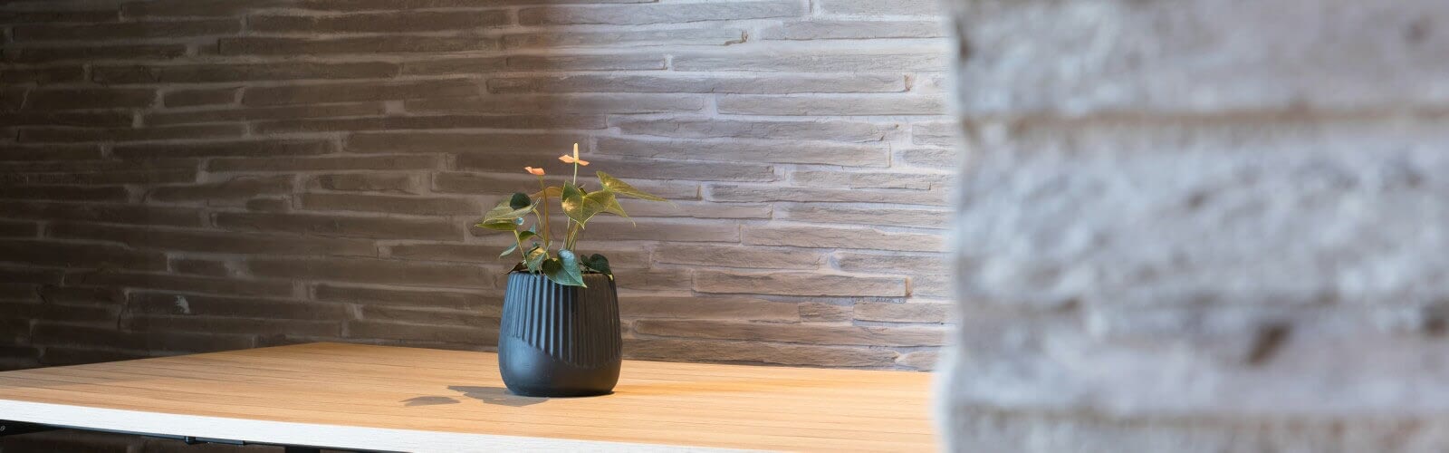 Commercial-Grey Schist Stone-Gym Cafe-Auckland