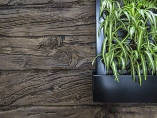 Commercial Walnut Wooden Sleepers Living Wall