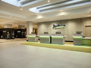 Commercial Hospitality Aged Roughcast Concrete The Radisson Hotel Reception NZ