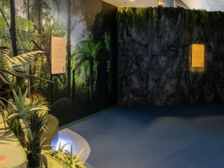 Commercial Institution Natural Rock Creative Finish