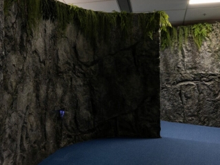 Commercial Institution Natural Rock Museum Curved Walls