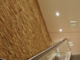 Commercial Retail Earth Strata Stone