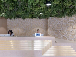 Commercial Hospitality White Castilian New Masonry Stone Hotel Reception
